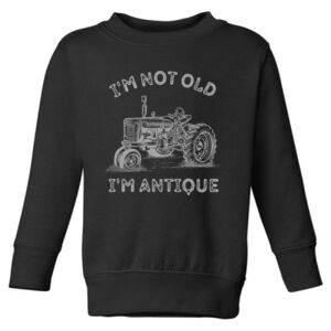 Toddler Fleece Crewneck Sweatshirt Thumbnail