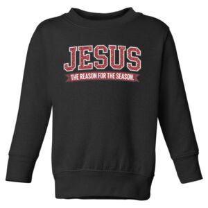 Toddler Fleece Crewneck Sweatshirt Thumbnail
