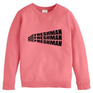 Garment-Dyed Youth Crewneck Sweatshirt Thumbnail