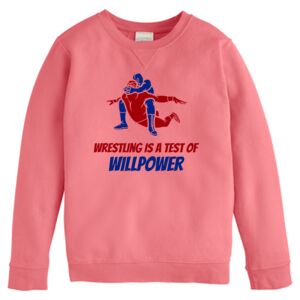 Garment-Dyed Youth Crewneck Sweatshirt Thumbnail