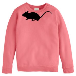 Garment-Dyed Youth Crewneck Sweatshirt Thumbnail