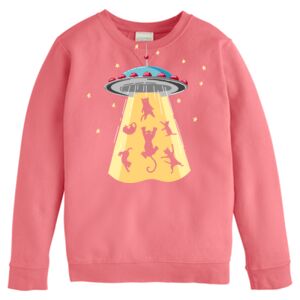 Garment-Dyed Youth Crewneck Sweatshirt Thumbnail