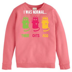 Garment-Dyed Youth Crewneck Sweatshirt Thumbnail