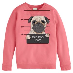 Garment-Dyed Youth Crewneck Sweatshirt Thumbnail