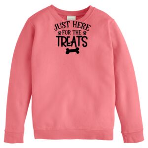 Garment-Dyed Youth Crewneck Sweatshirt Thumbnail