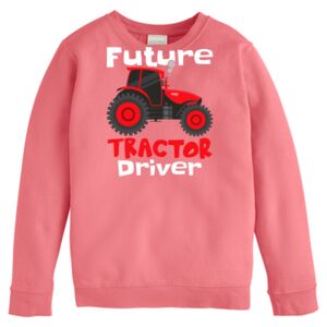 Garment-Dyed Youth Crewneck Sweatshirt Thumbnail