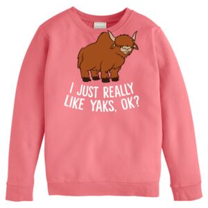 Garment-Dyed Youth Crewneck Sweatshirt Thumbnail