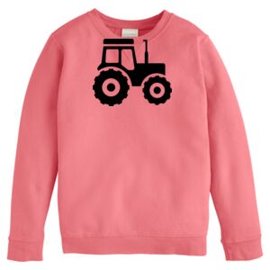 Garment-Dyed Youth Crewneck Sweatshirt Thumbnail