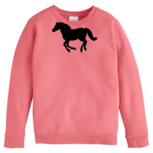 Garment-Dyed Youth Crewneck Sweatshirt Thumbnail