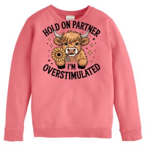 Garment-Dyed Youth Crewneck Sweatshirt Thumbnail