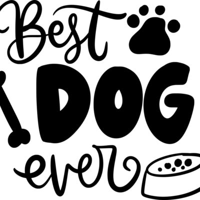 Animal- General Thumbnail