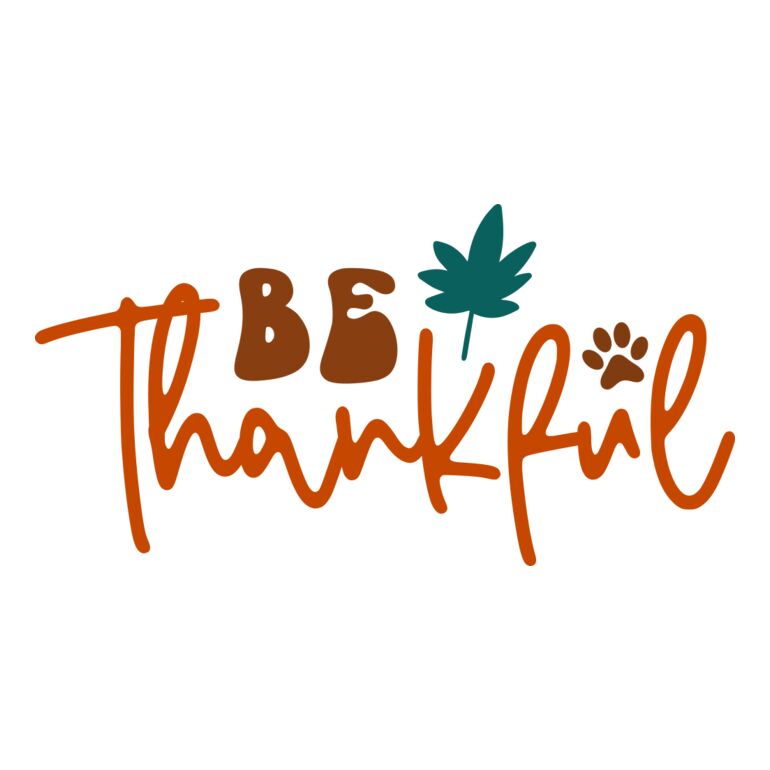 Thanksgiving Thumbnail